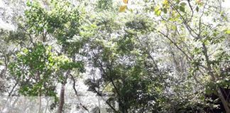 nicaragua, rio san juan, reservas silvestres,