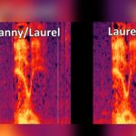 Fenómeno viral  ‘Yanny o Laurel’ divide Internet fenomeno viral