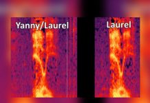 Fenómeno viral ‘Yanny o Laurel’ divide Internet fenomeno viral