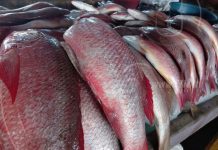 Mercados de Nicaragua abastecidos con alimentos tradicionales de Cuaresma Comida de cuaresma