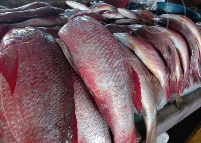 reuasd1 Comida de cuaresma