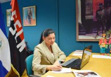 Nicaragua en reunión virtual con Cámara de Comercio de Granada, España