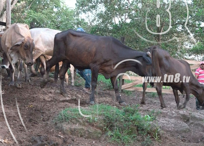 rio-blanco1 nicaragua