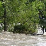 Hombre muere en aguas del Río Coco, pese a esfuerzos por su rescate nicaragua