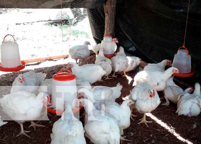 rio1_smSQjR1 nicaragua