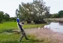 Cocodrilo ataca y roba botín a dos jóvenes que pescaban en un río cocodrilo