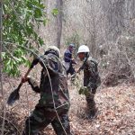 Ejército de Nicaragua sofoca incendios forestales en Rivas nicaragua