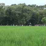 INTA y misión Taiwán de la mano con productores de arroz nicaragua