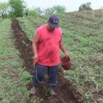 Nicaragua expuso a ONG´S el plan de producción para el presente ciclo agrícola nicaragua