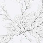 investigadores romanos