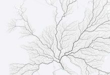 ¿Todos los caminos conducen a Roma? Un reciente estudio da la respuesta investigadores romanos