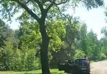 Familia se lleva el susto de su vida en un safari (Video) beekse bergen