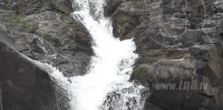 intur