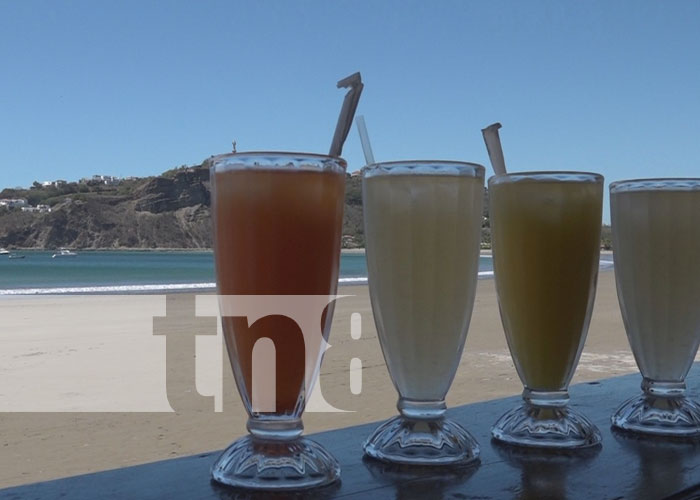 san-juan-sur-2 nicaragua