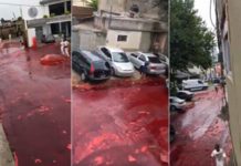 Frigorífico derrama 500 mil litros de sangre animal en la calle (VIDEO) argentina