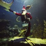 Que se moje!, que se moje!.. Santa Claus aparece en acuario Tailandés tailandia