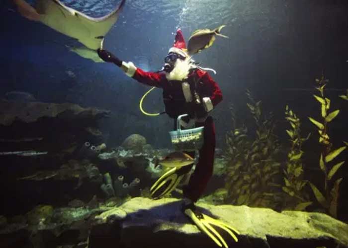 santa-1_oy9D8Bs tailandia