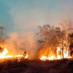 Bolivia: Santa Cruz declara situación de desastre por incendios forestales bolivia