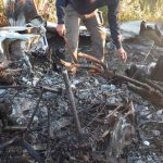 republica dominicana