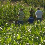 Nicaragua presenta a ONG’s resultados de Conferencia Regional de la FAO nicaragua