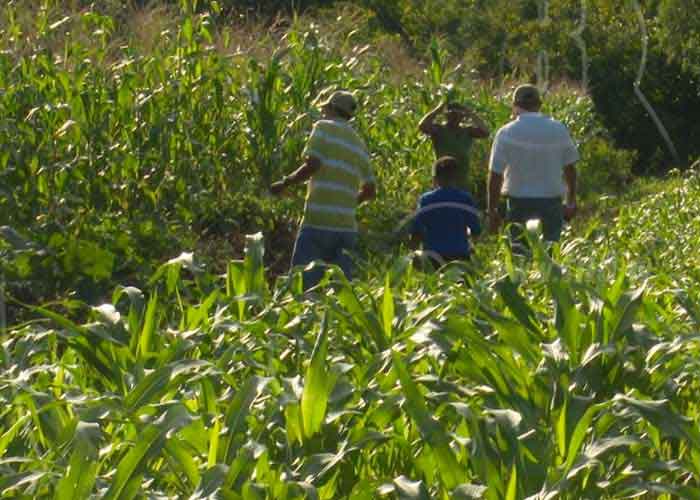 seguridad-alimentario-tn8-45 nicaragua