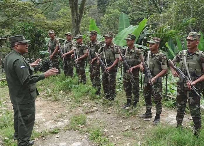 seguridad-cafe-002 nicaragua