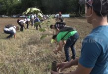 Estudiantes de la UNAN-León siembran más de 300 árboles en jornada de reforestación nicaragua