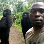 republica democratica del congo