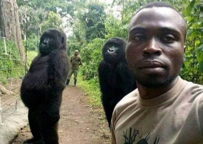 republica democratica del congo