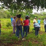 Productores compartieron experiencias con el uso de semillas criollas y acriolladas nicaragua