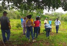 Productores compartieron experiencias con el uso de semillas criollas y acriolladas nicaragua