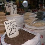 Repunte de importantes rubros en el ciclo productivo 2018-2019 nicaragua