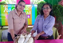 Aproveche la Feria Nacional de Lácteos este fin de semana nicaragua