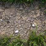 El Salvador registra más de un mes de sequía y calor rompe récord histórico el salvador