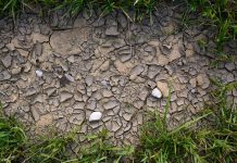 El Salvador registra más de un mes de sequía y calor rompe récord histórico el salvador