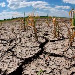 El gobierno de El Salvador declaró alerta roja por sequías el salvador