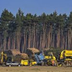 Shhh…Serpientes hibernando detienen fábrica de Tesla en Alemania alemania