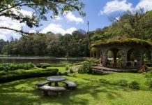 Turismo en ascenso: Relanzamiento de la Ruta del Café nicaragua