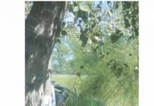 Graban a policías ‘infraganti’ teniendo sexo en una patrulla graban