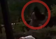 ¡En el parque! Captan a pareja en pleno «acto sexual» (Video) colombia