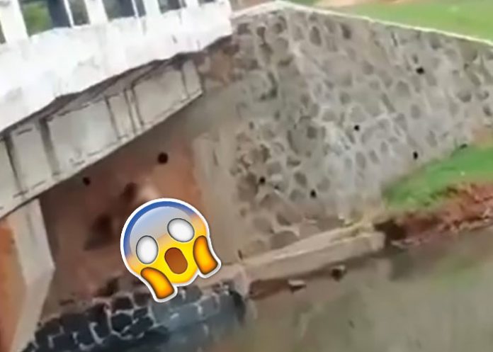 sexo-pareja-puente mexico