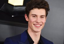 Shawn Mendes es nombrado como el «Príncipe del Pop» musica