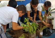 Estudiantes en Managua siembran plantas para honrar a la patria nicaragua