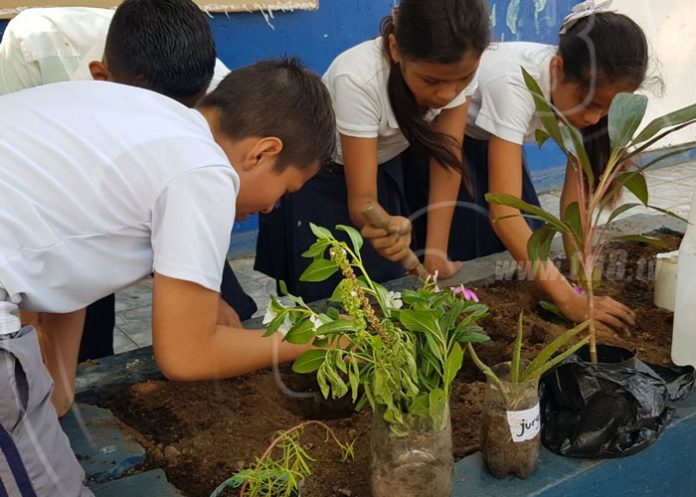 siembra-escuela-managua-02 nicaragua