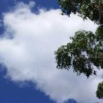 Pronóstico de Nicaragua: Vienen días calurosos pero con lluvias nicaragua