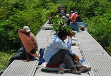 Crean app milagrosa para inmigrantes y en esto les ayudará aplicacion