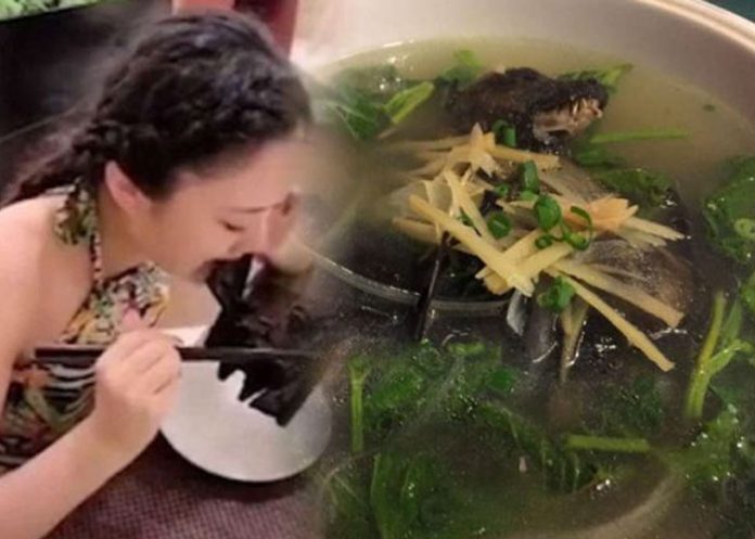 sopa-de-murcielago china