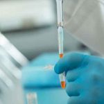 Argentina aprueba el uso de suero equino como tratamiento para covid argentina