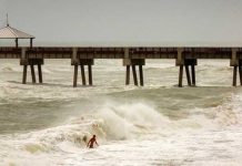 Surfistas retan con felicidad las olas de Dorian en Miami Beach estados unidos