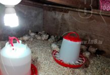 Proyectos de electrificación llegan a comunidades de Bluefields nicaragua